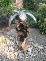 molvan show 2011 004.JPG